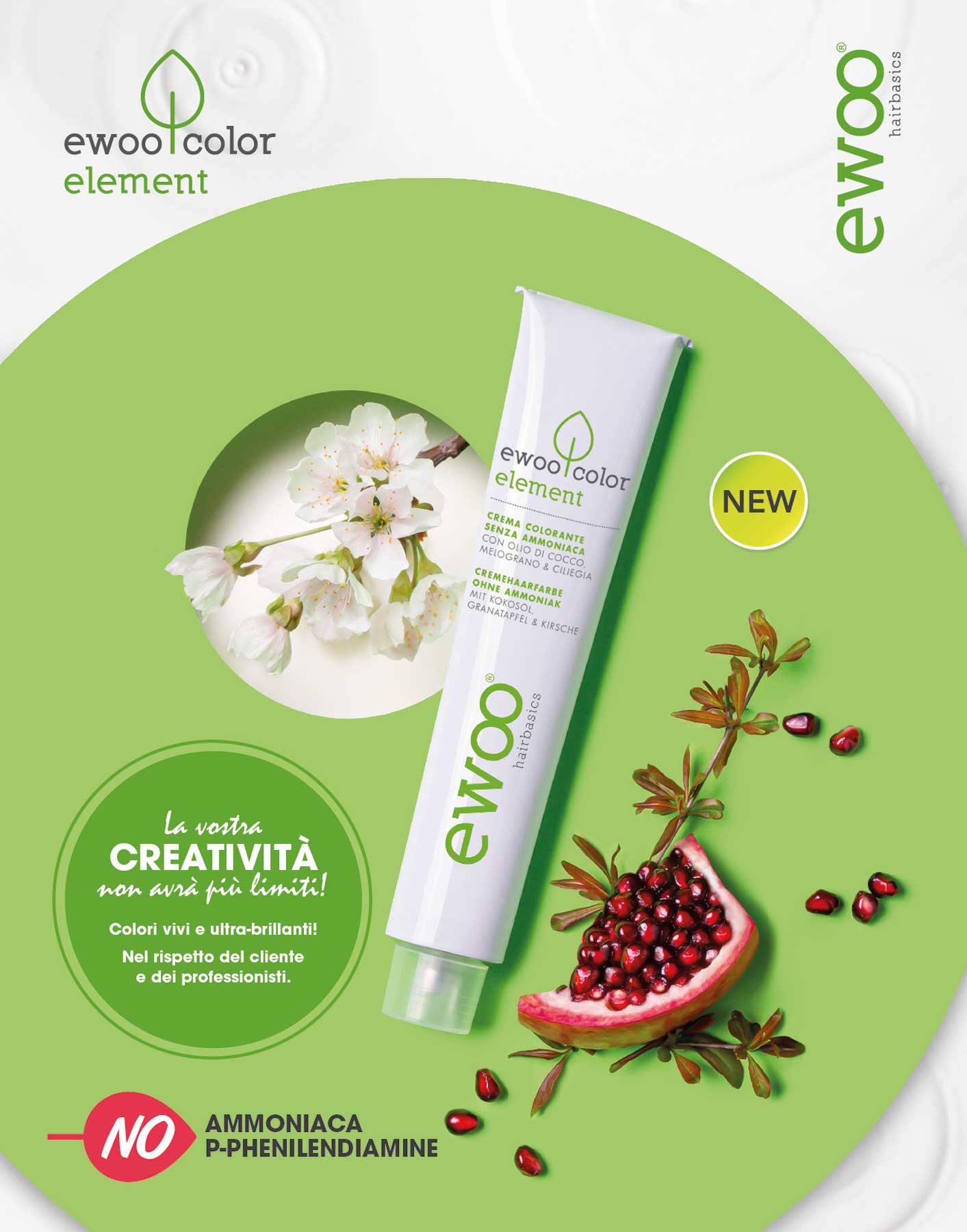 Tinta EWOO Color element-crema senza ammoniaca 100ml. - MR BEAUTY SALON 